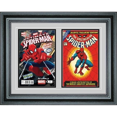 Perfect Cases Perfect Cases DBCMC-PM Double Comic Book Frame with Premium Moulding DBCMC-PM